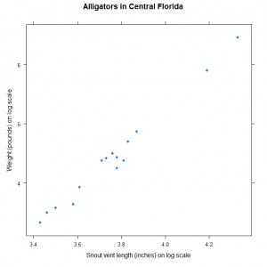 Plot of the weight and snout vent length